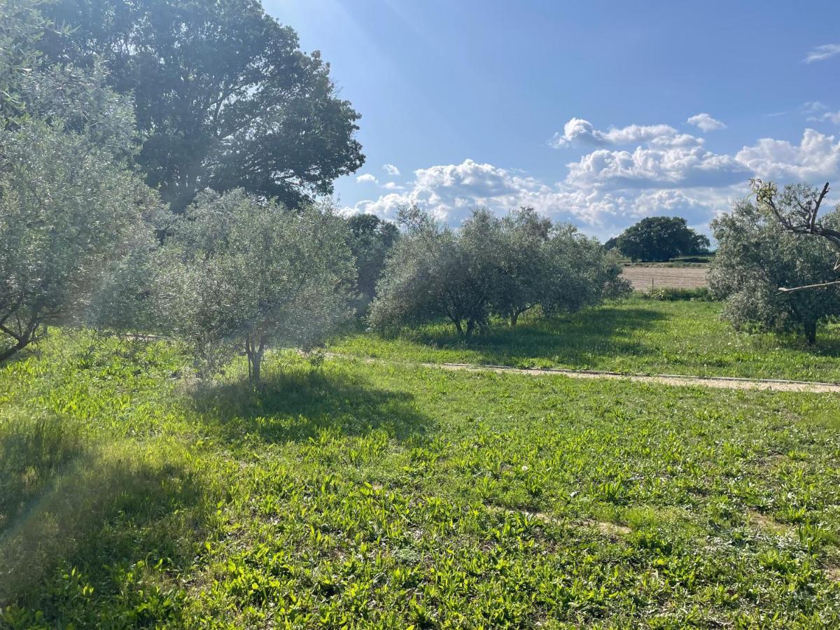 Sous Les Etoiles En Provence, Gite Les Grands Chenes Lurs Exterior photo