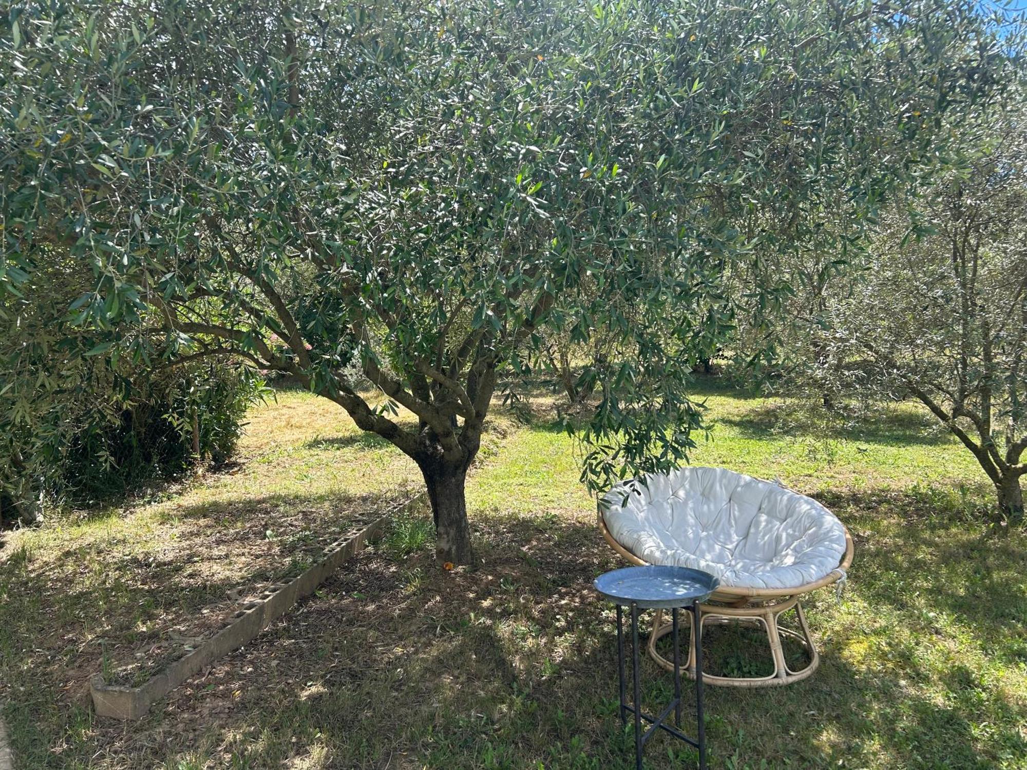 Sous Les Etoiles En Provence, Gite Les Grands Chenes Lurs Exterior photo